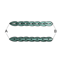 Back Stitched Chain Stitch