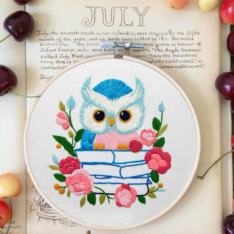 Rubbyoo Embroidery Kit - Owl Loves Reading - image 5