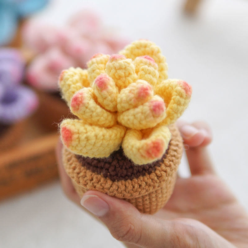 Diy Handmade Colourful Succulent Crochet Kit - Unique Window Decor | Perfect Gifts For Friends - yellow - image 7