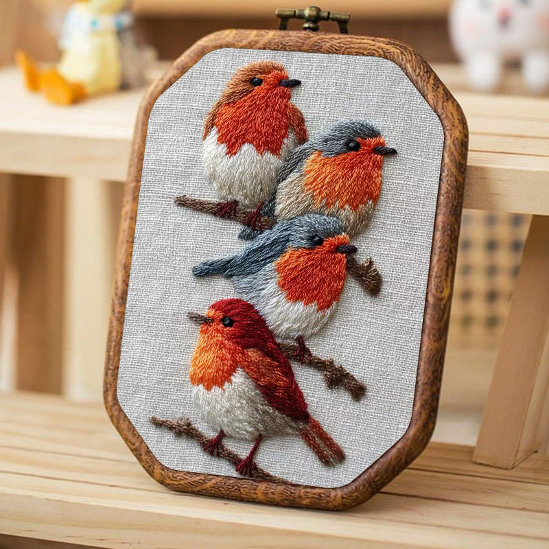 Rubbyoo Embroidery Kit - Robin Birds | Diy Animal Craft | Gifts For Bird Lovers - image 1