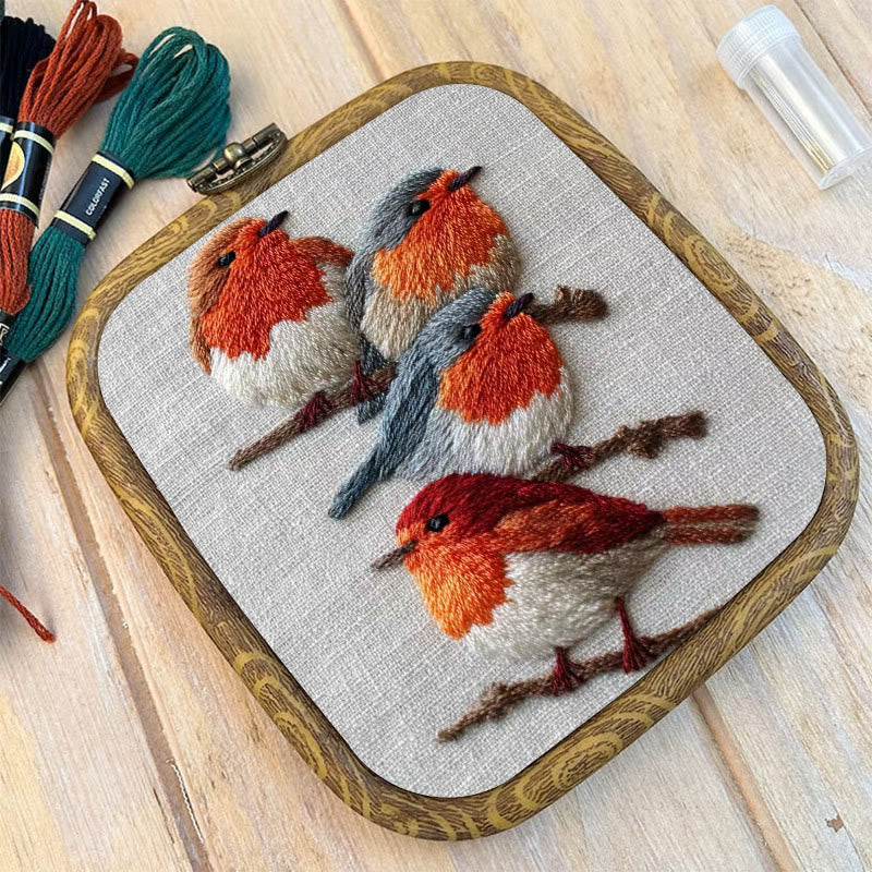 Rubbyoo Embroidery Kit - Robin Birds | Diy Animal Craft | Gifts For Bird Lovers - image 8