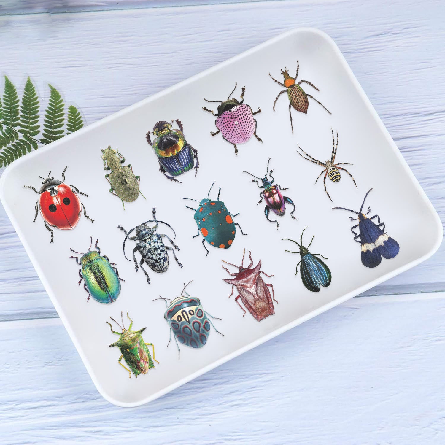 Rubbyoo 50pcs Beetle Sticker Pack - Realistic Insect Art | Perfect Gif ...